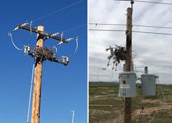 Tdworld Com Sites Tdworld com Files 907 25 Avian1 2 Tdworld Com Sites Tdworld com Files 907 25 Avian1 2