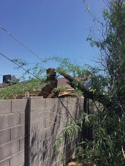 Tdworld Com Sites Tdworld com Files 907 25 Tree Storm1 0 Tdworld Com Sites Tdworld com Files 907 25 Tree Storm1 0