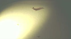 Tdworld Com Sites Tdworld com Files Tf10 Tdworld Com Sites Tdworld com Files Tf10