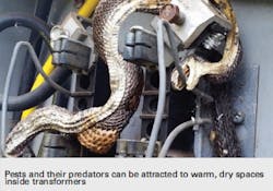 Tdworld Com Sites Tdworld com Files Img2 Tdworld Com Sites Tdworld com Files Img2