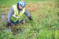 Xcel Energy, storm repairs Xcel Energy, storm repairs