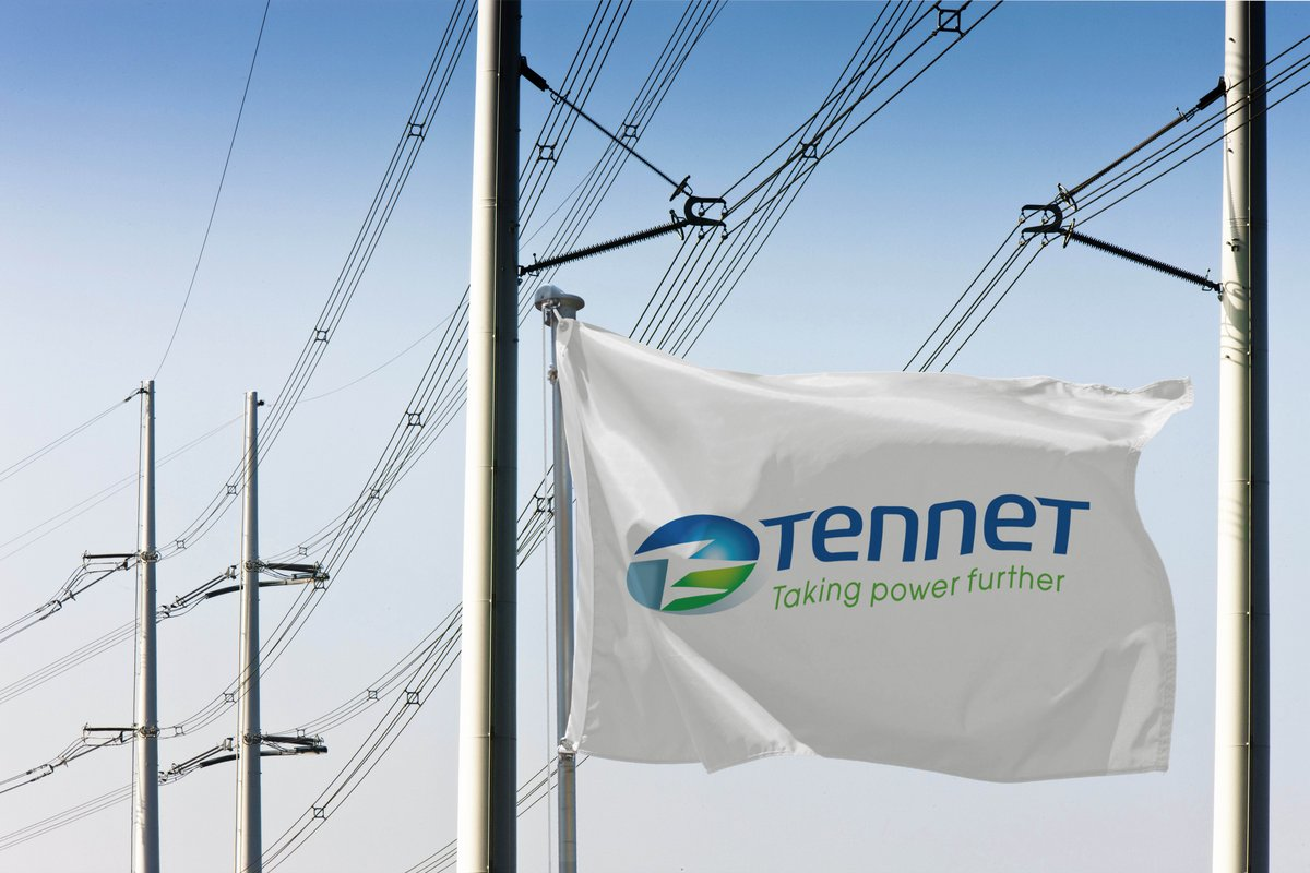 TenneT's flag on an electric pole