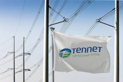 TenneT's flag on an electric pole TenneT's flag on an electric pole