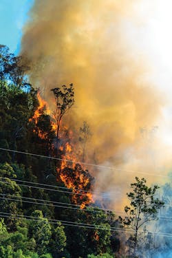 910_05_GettyImages-471995123.jpg 910_05_GettyImages-471995123.jpg