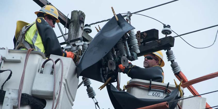 employees-working-on-electric-lines.tmb-newsbanner.jpg