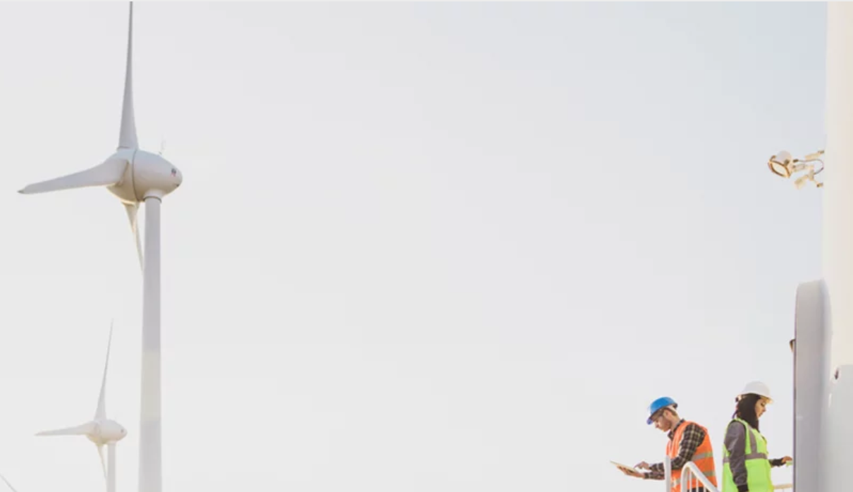 Screen Shot 2019-10-23 at 11.50.03 AM.png