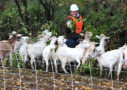 Goats on the go owner.jpg Goats on the go owner.jpg