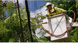 A restoration effort by Florida Power & Light