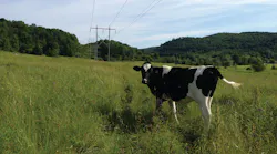 VELCO’s 738 miles of transmission lines span the rural state, delivering reliable power to its 17 distribution utility owners.