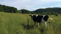 VELCO’s 738 miles of transmission lines span the rural state, delivering reliable power to its 17 distribution utility owners. VELCO’s 738 miles of transmission lines span the rural state, delivering reliable power to its 17 distribution utility owners.