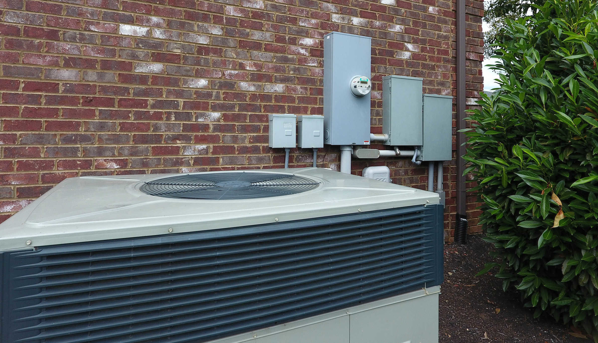 Middle Tn 0022 Detail 5df7aba108ce6