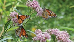 906 48 Vm Promo 5e1d9afb9b4fe 906 48 Vm Promo 5e1d9afb9b4fe