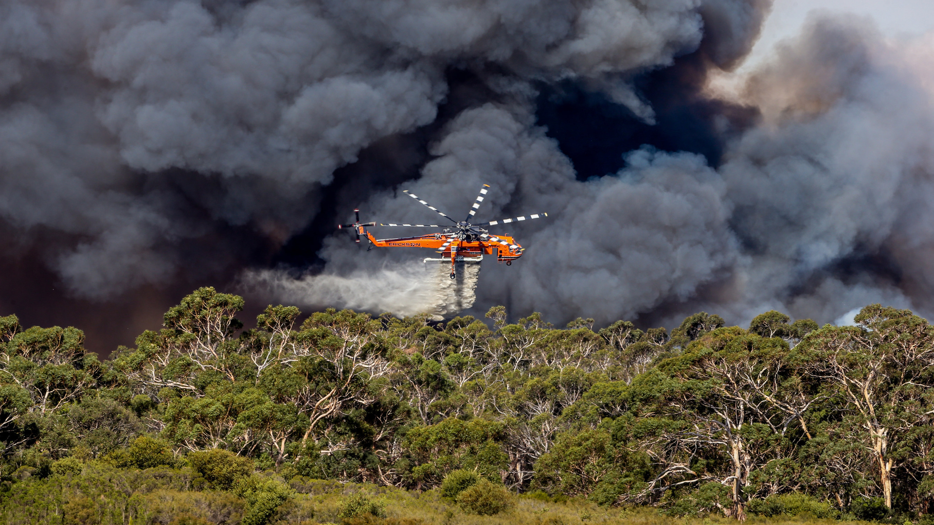 Erickson Incorporated Helicopters In Australia 5e1ced69bd115