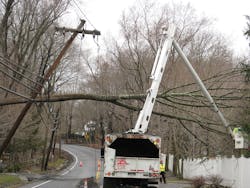 Trees beyond the maintained corridor can fail during high wind events, striking utility targets. Trees beyond the maintained corridor can fail during high wind events, striking utility targets.
