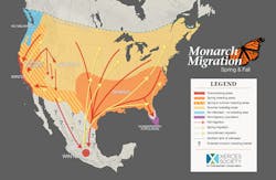 The monarch butterfly migration range in North America is depicted on the above map. In the fall, monarchs from the northeastern U.S. and southern Canada journey up to 3,000 miles to the overwintering grounds in southwestern Mexico. Map created by the Xerces Society for Invertebrate Conservation.
