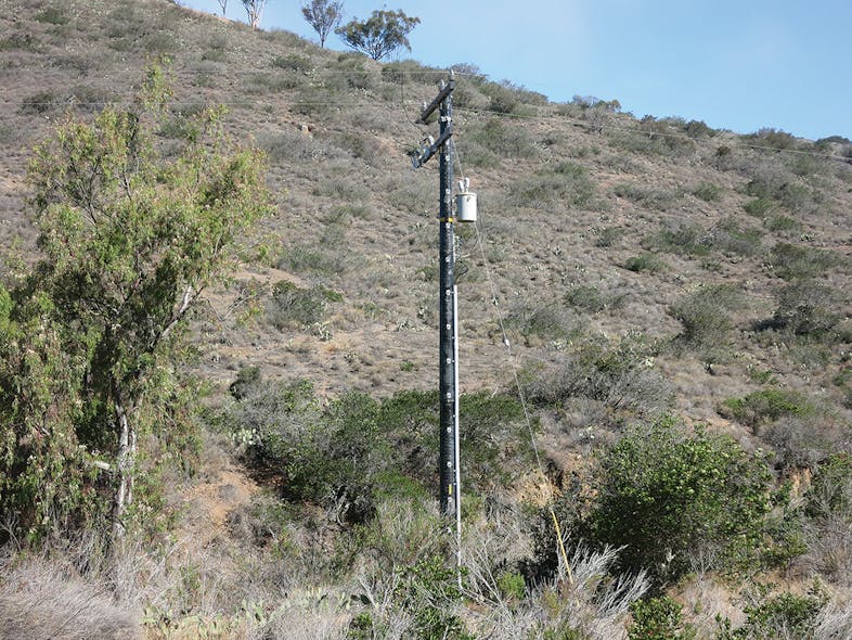 Highland FRP pole on Catalina Island. Dark color helps blend pole into background.
