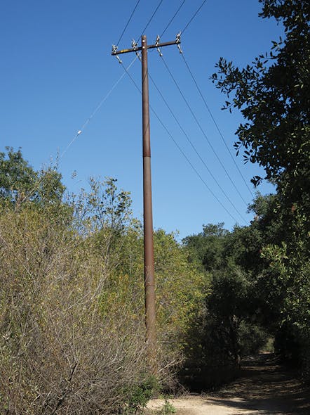 Ductile iron pole blends in with natural environment in the Oak Canyon Nature Center.
