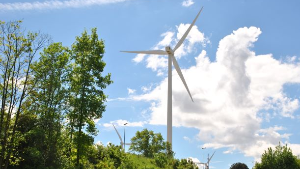 2017 Dsc 8368 Small 5e443aed31812