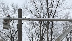 Aaa Tree Service 1 5e53cc922791d Aaa Tree Service 1 5e53cc922791d