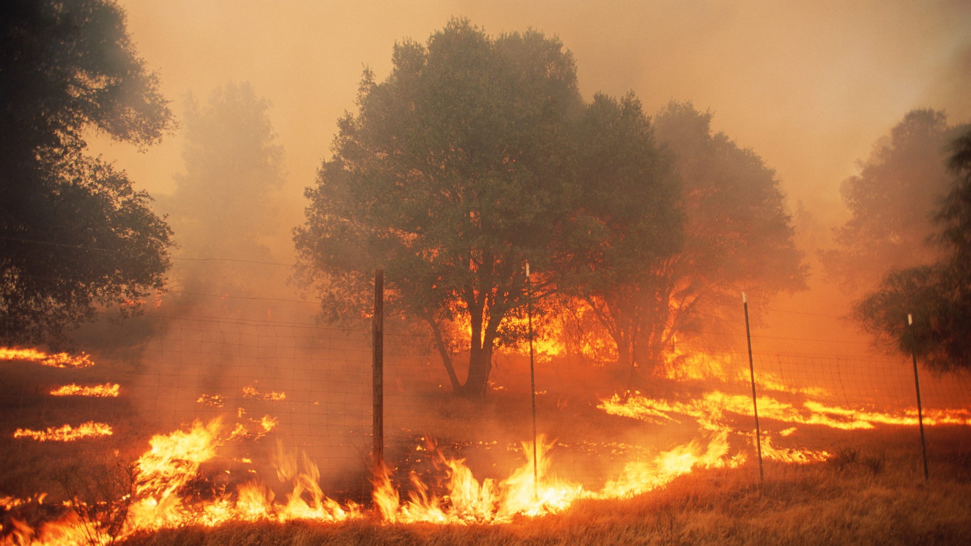 Getty Images 200159463 001 5e416c3747b08