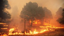 Getty Images 200159463 001 5e416c3747b08 Getty Images 200159463 001 5e416c3747b08