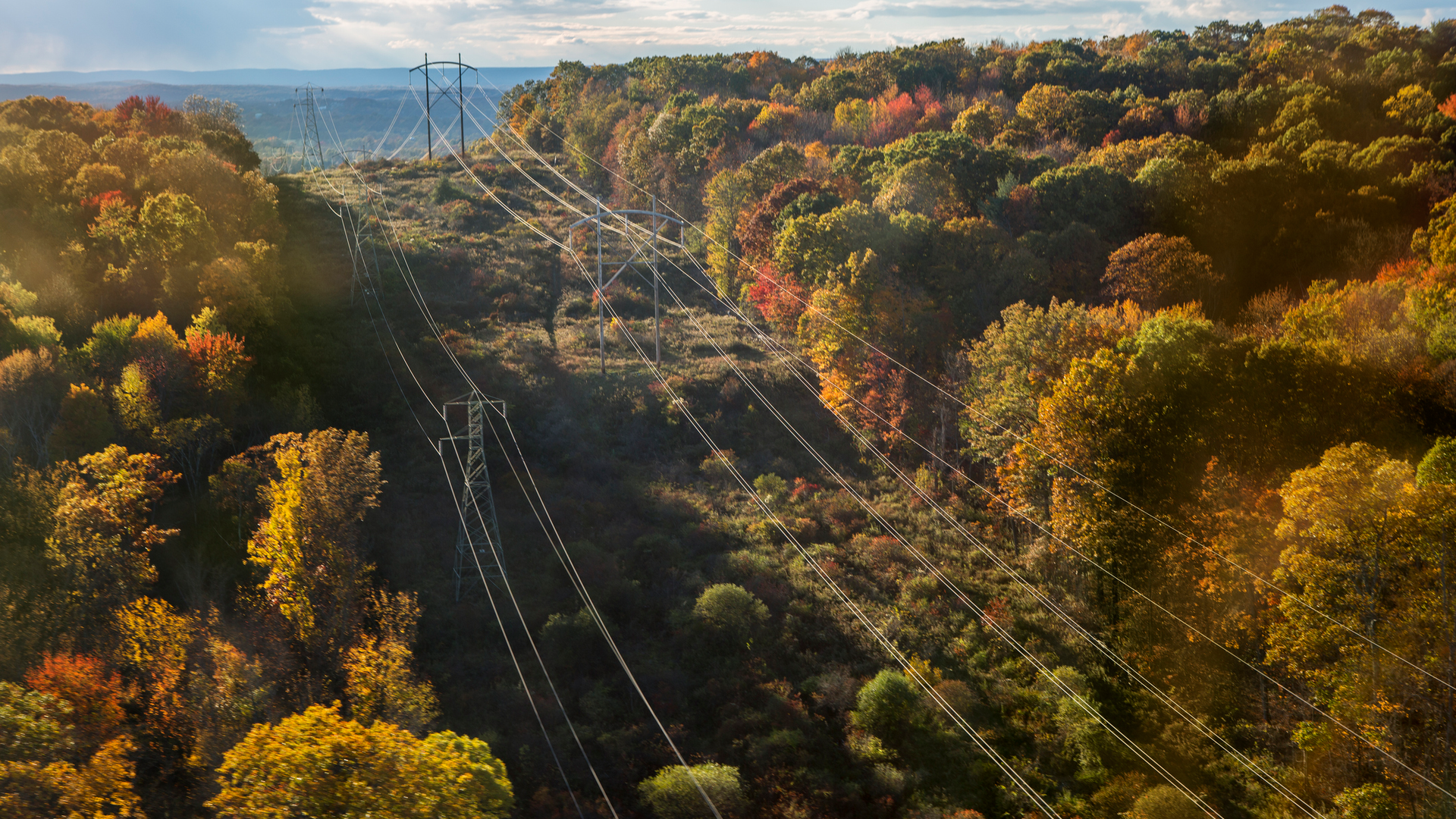 Overhead transmission lines.