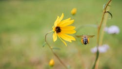 Mahan Video 5e4c45f1b34bd Mahan Video 5e4c45f1b34bd