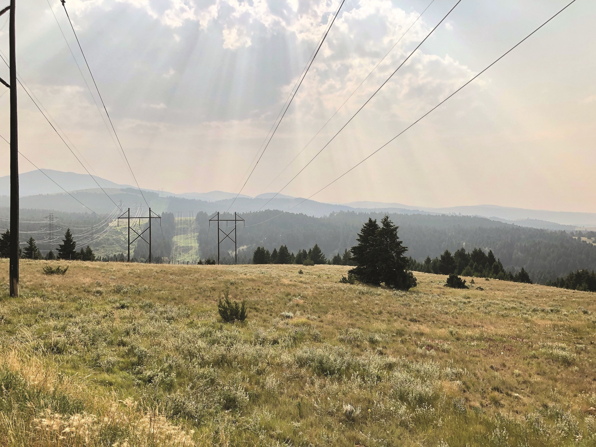 BPA focuses on clearing its right of ways around its transmission structures to reduce potential ignition for wildfires.