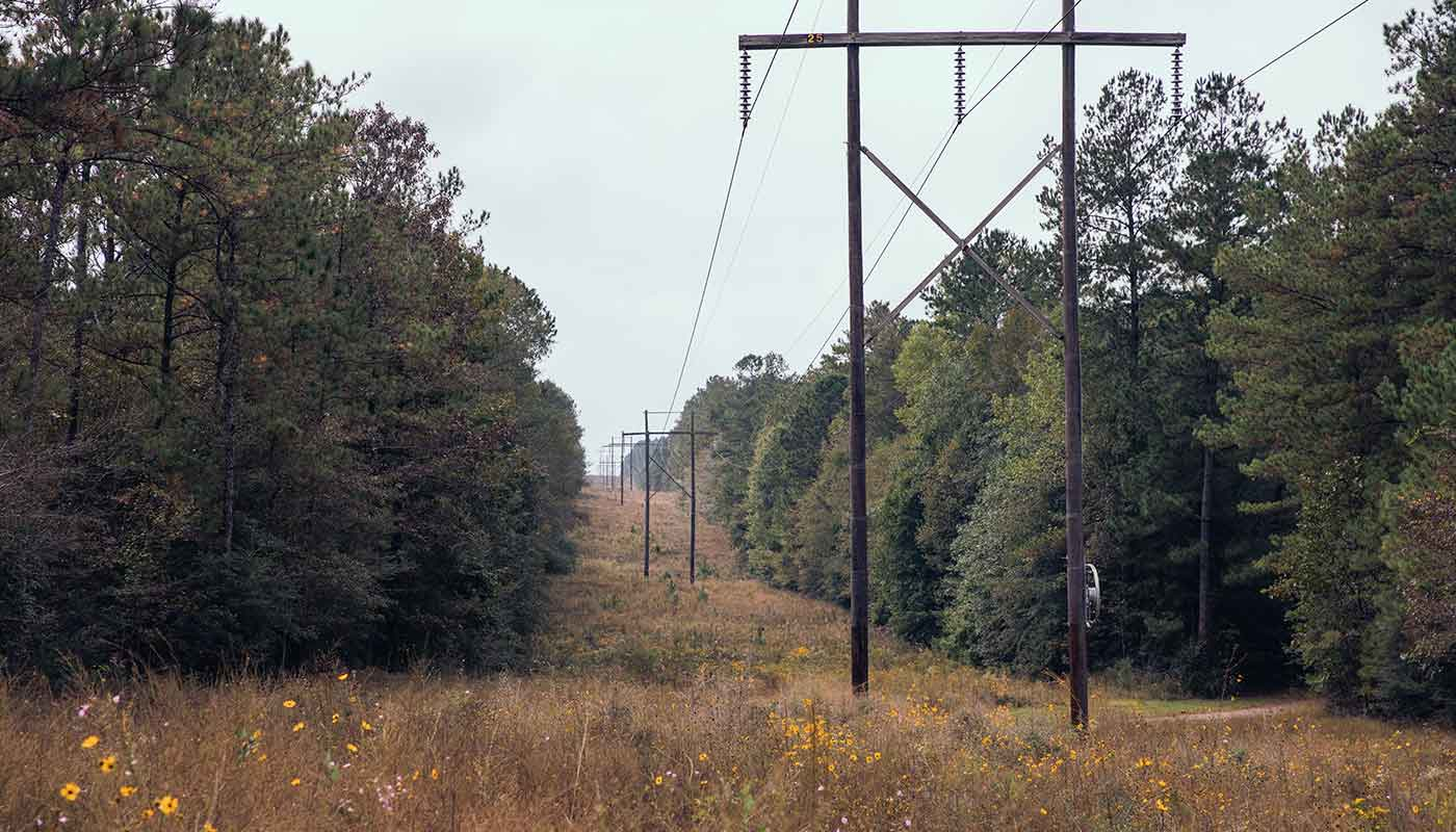 Terra Vue 5e4c490111d9f