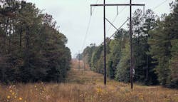 Terra Vue 5e4c490111d9f Terra Vue 5e4c490111d9f