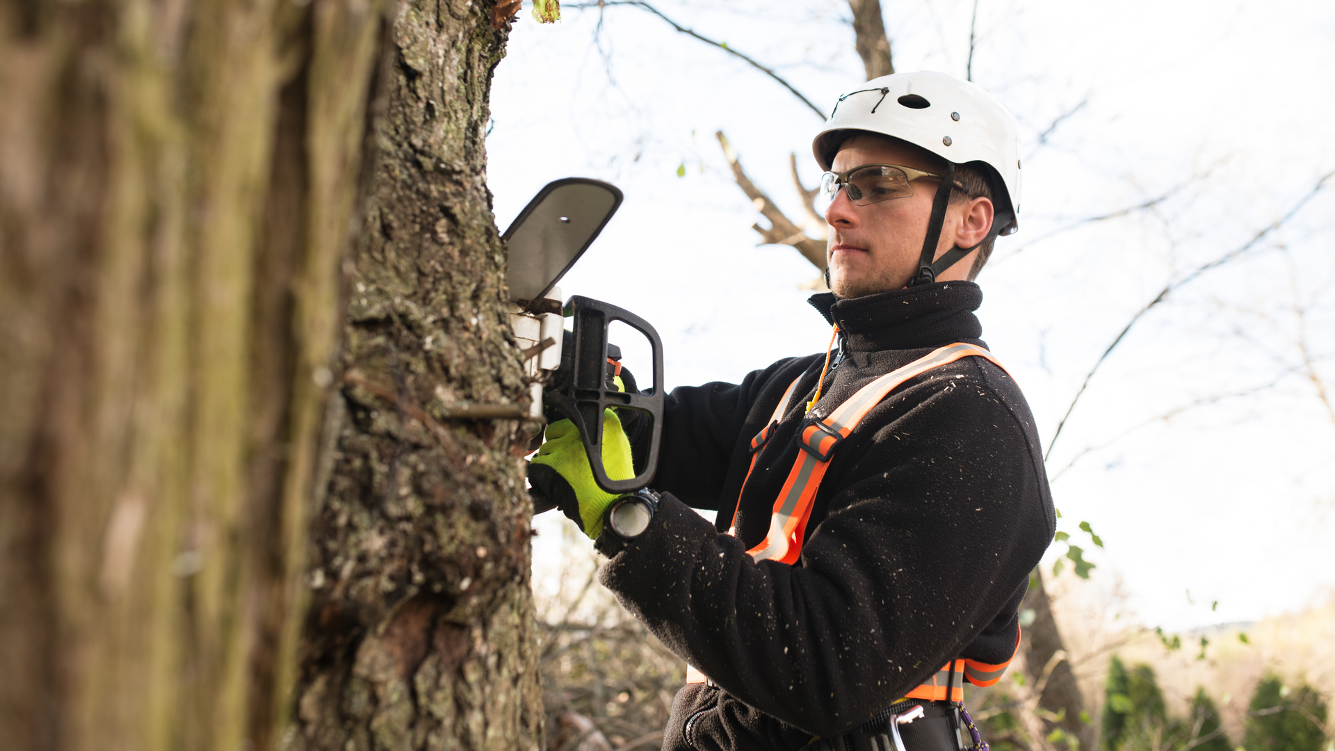 Getty Images 640243766 5e65c1726c4ff