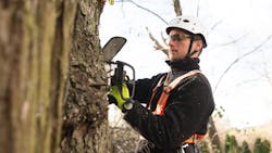 Getty Images 640243766 5e65c1726c4ff Getty Images 640243766 5e65c1726c4ff