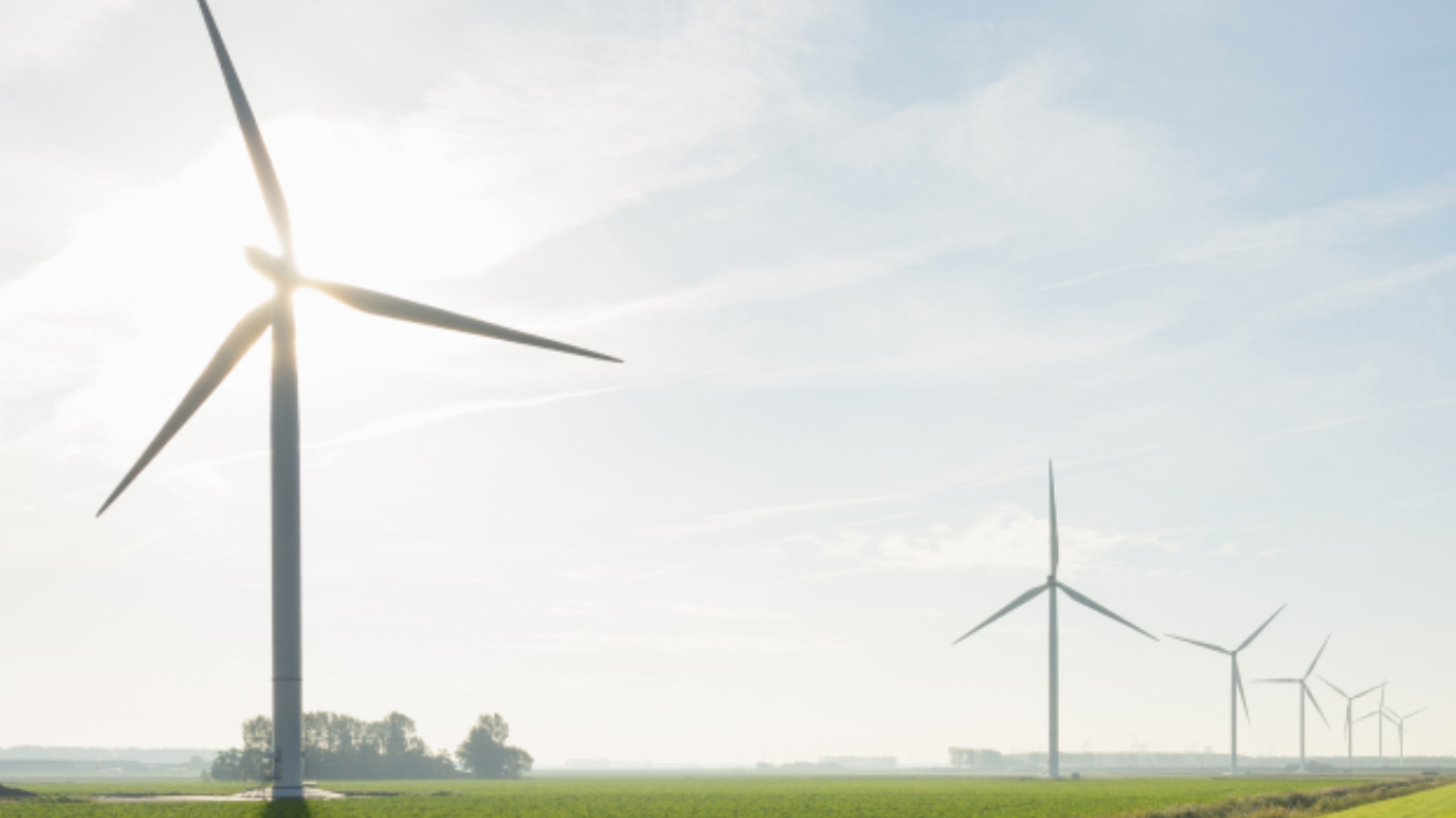 Screen Shot 2020 03 15 At 7 49 44 Pm 5e6ecbe75b0c1