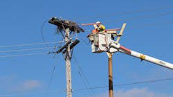 Penn Power Nesting Osprey March 2020 5e5fc9c3b9ea6 Penn Power Nesting Osprey March 2020 5e5fc9c3b9ea6