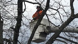 Tree Trimming Release Pic 2020 5e66f48968474 Tree Trimming Release Pic 2020 5e66f48968474