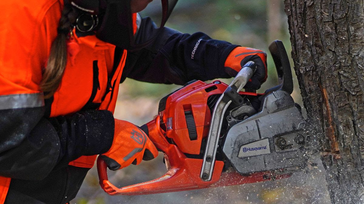 Unnamed 14 5e6eecaa2a833