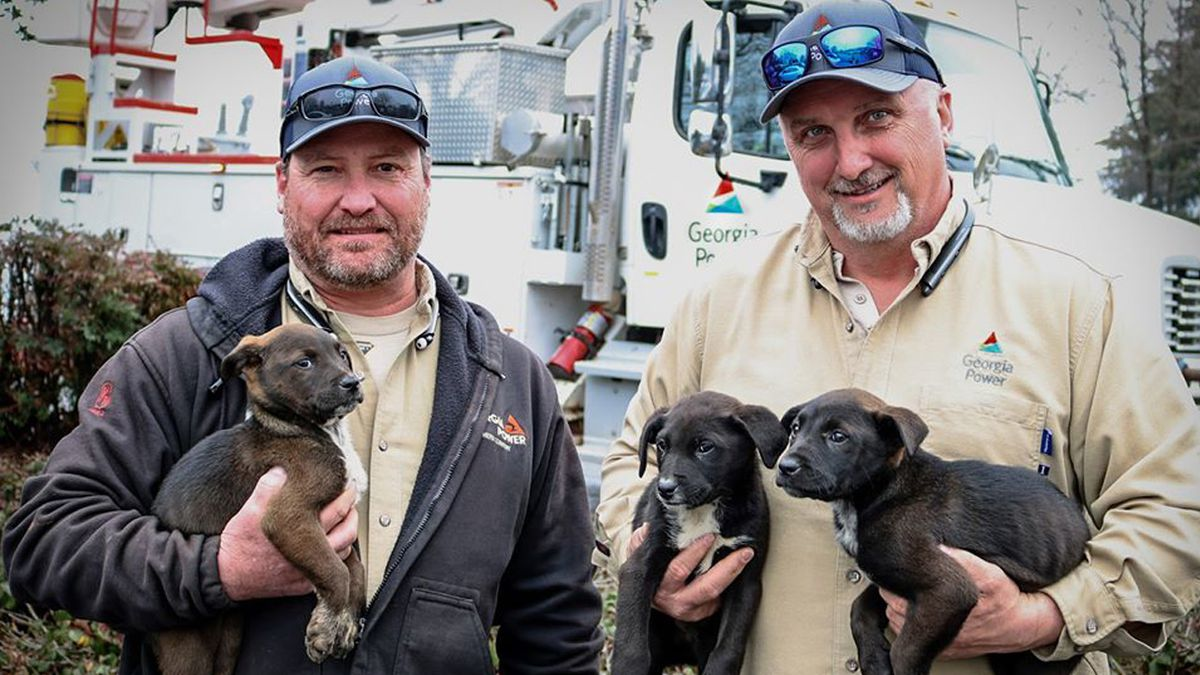 Fhgny6 Mxovde7 Ozyfsti4 X2 Fwu 5e70e78bb0465