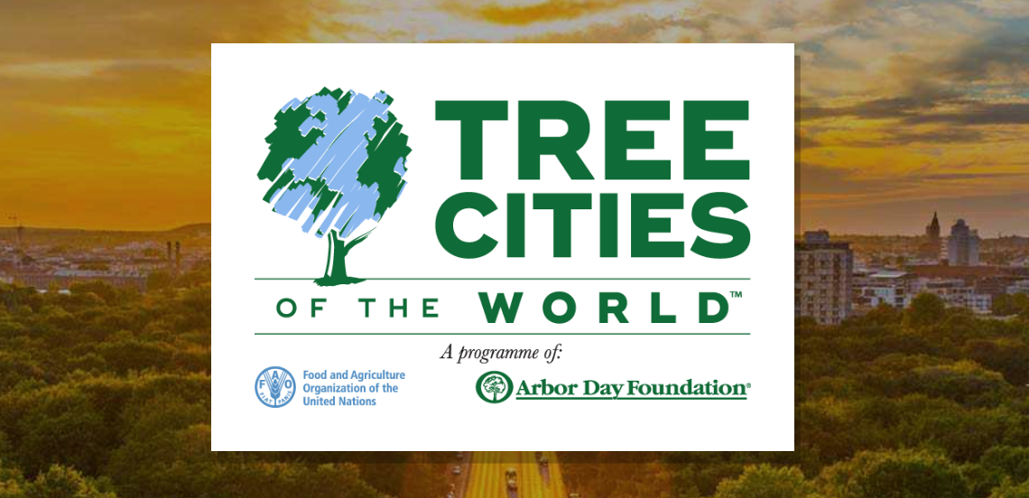 Screen Shot 2020 03 09 At 9 33 44 Pm 5e66fb5f07b10