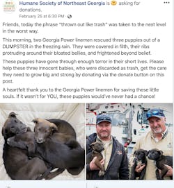 Screen Shot 2020 03 17 At 10 14 44 Am Screen Shot 2020 03 17 At 10 14 44 Am