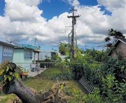 Linemen encountered blown-out circuits following the hurricane. Linemen encountered blown-out circuits following the hurricane.