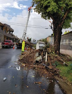 A worker stands near a pile of vegetation and debris in Puerto Rico. A worker stands near a pile of vegetation and debris in Puerto Rico.