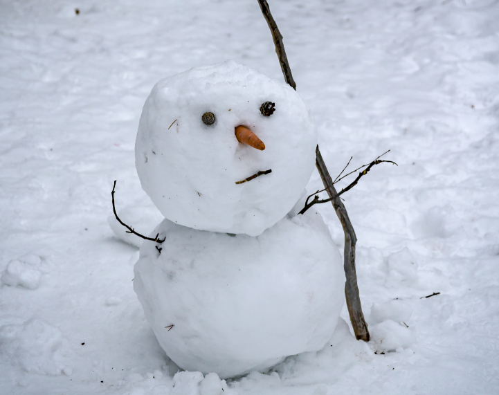 Georgnet 5e791f5ad683e