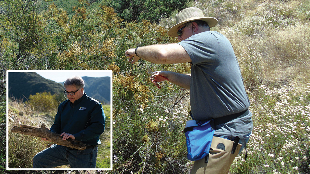 Tom Rolinski, SCE fire scientist, points out the type of growth to determine how dry the brush is.