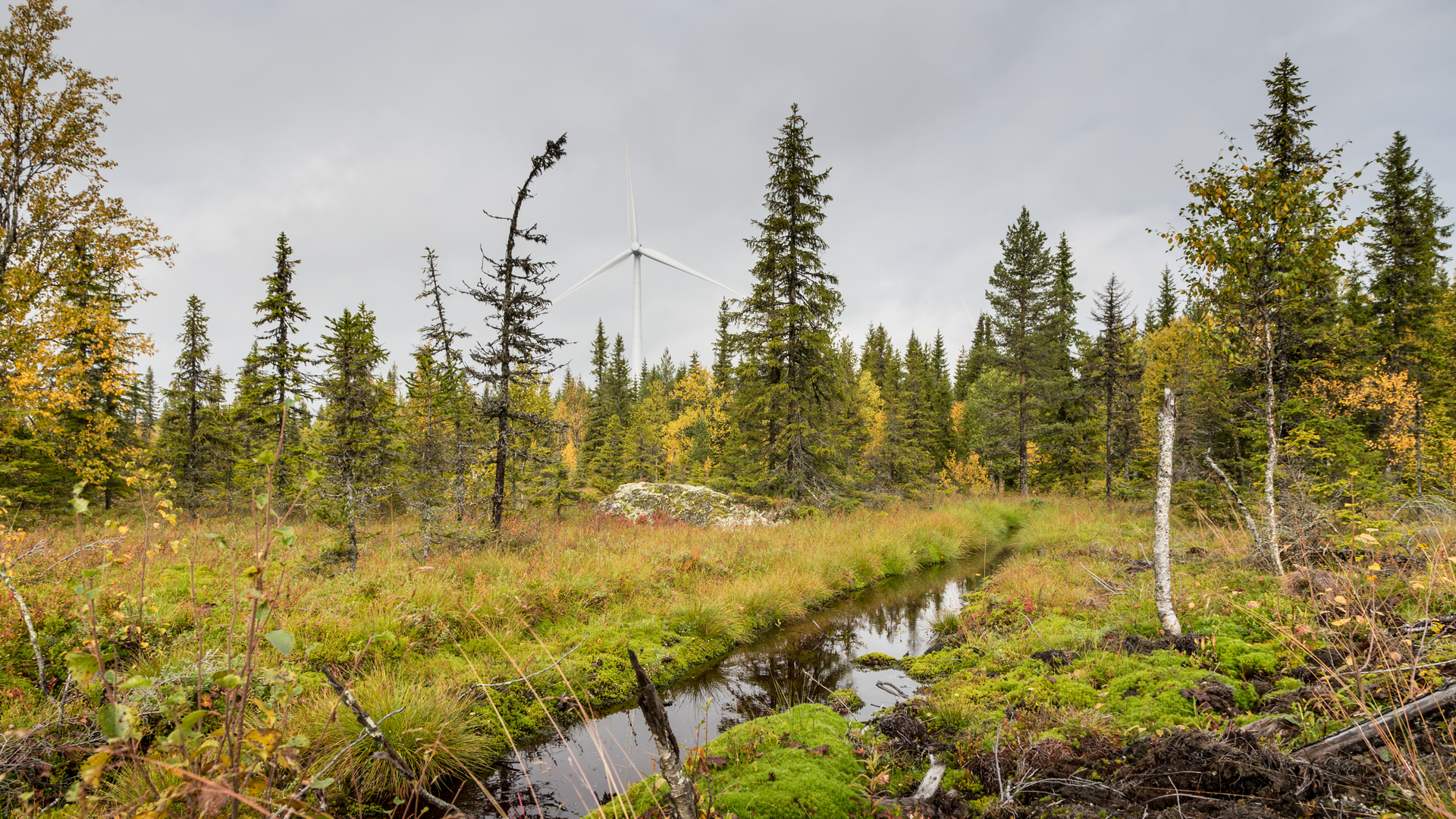Sgre Wind Farm In Sweden 5ea6a4a19359e