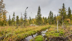 Sgre Wind Farm In Sweden 5ea6a4a19359e Sgre Wind Farm In Sweden 5ea6a4a19359e