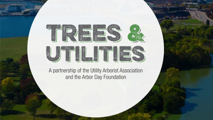 Screen Shot 2020 04 13 At 10 56 25 Pm 5e95328db0309