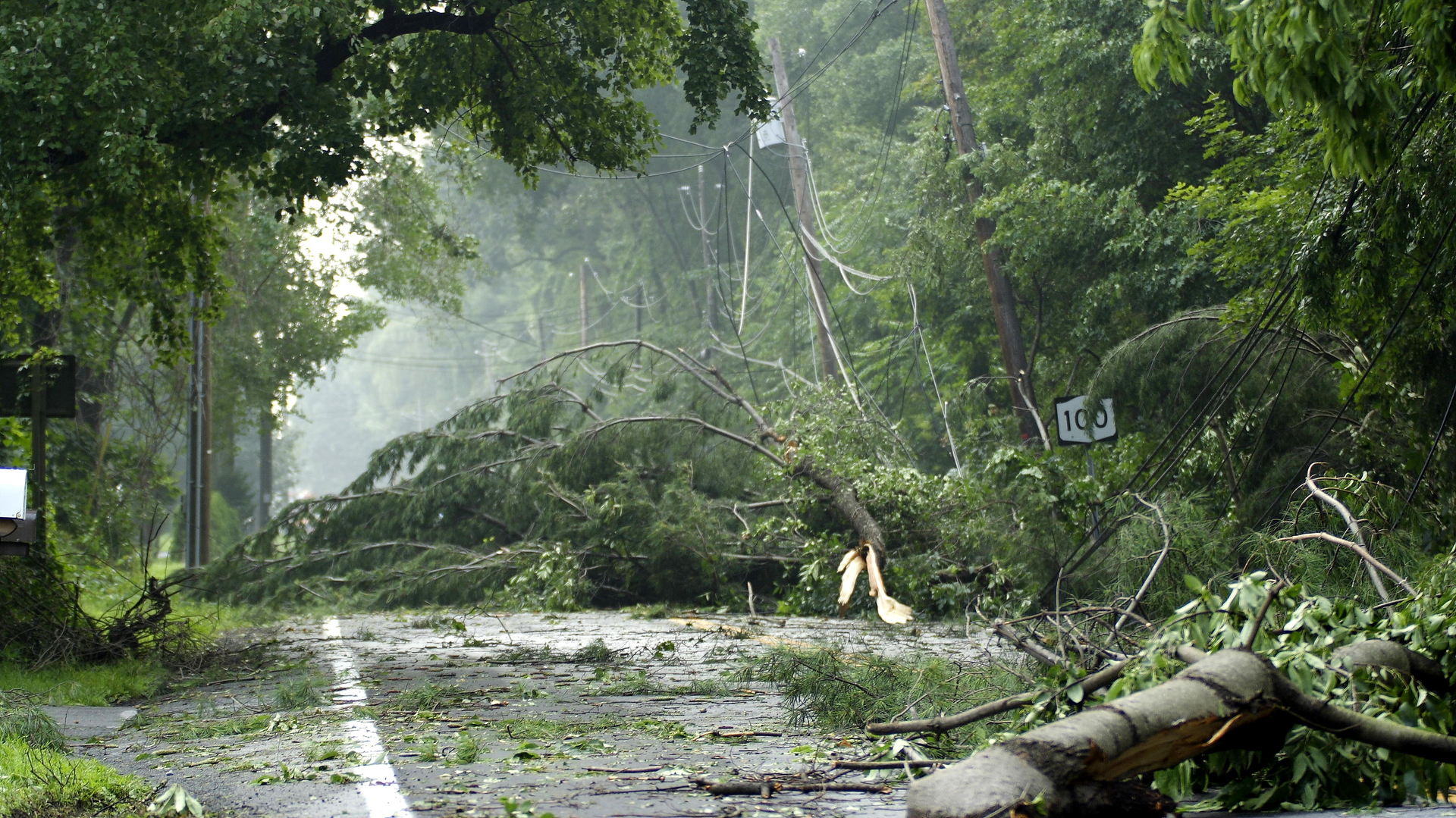 Dreamstime L 2015412 5e99a8033faec