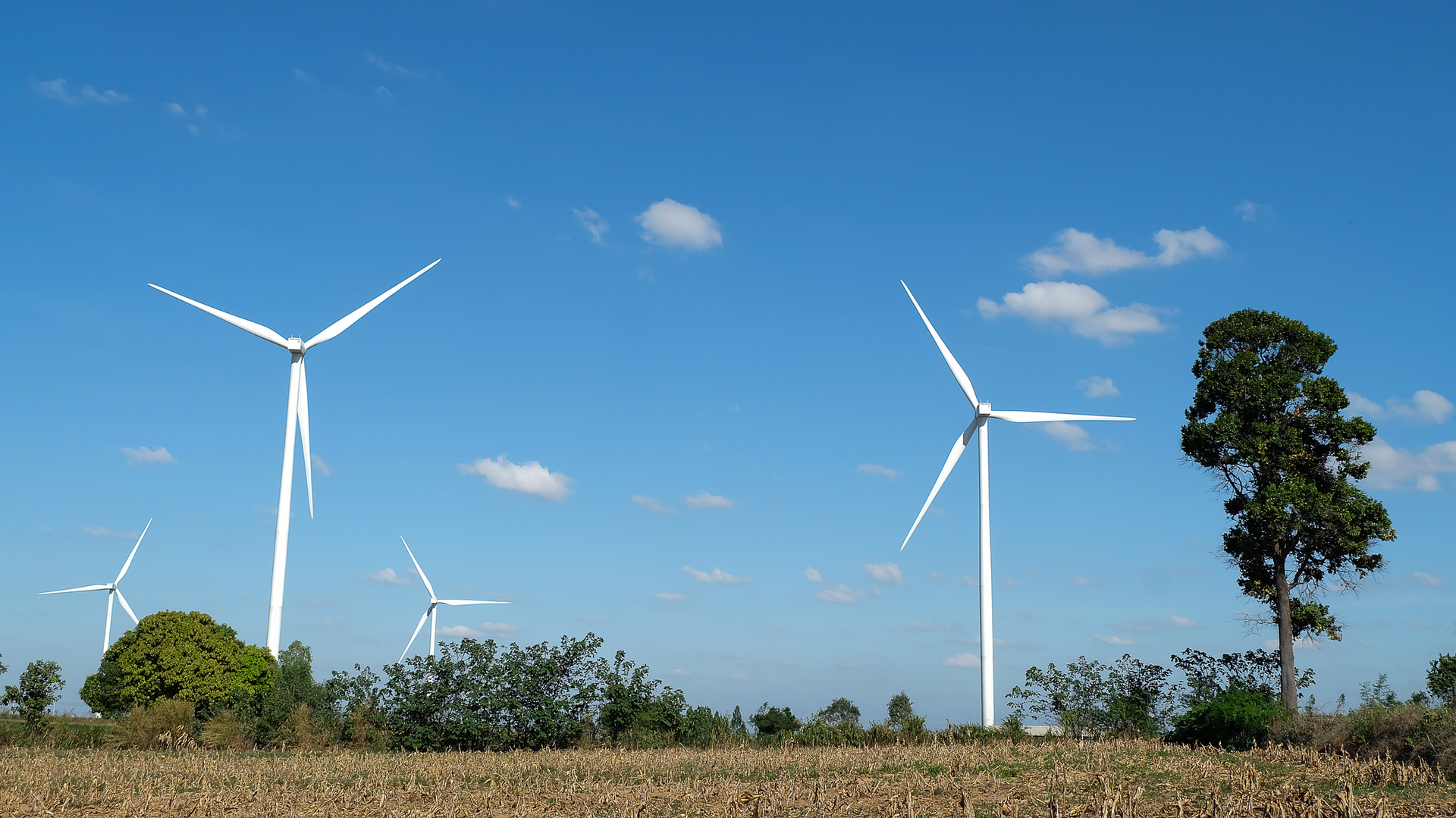 Dreamstime M 111495361 5eab058eab08e