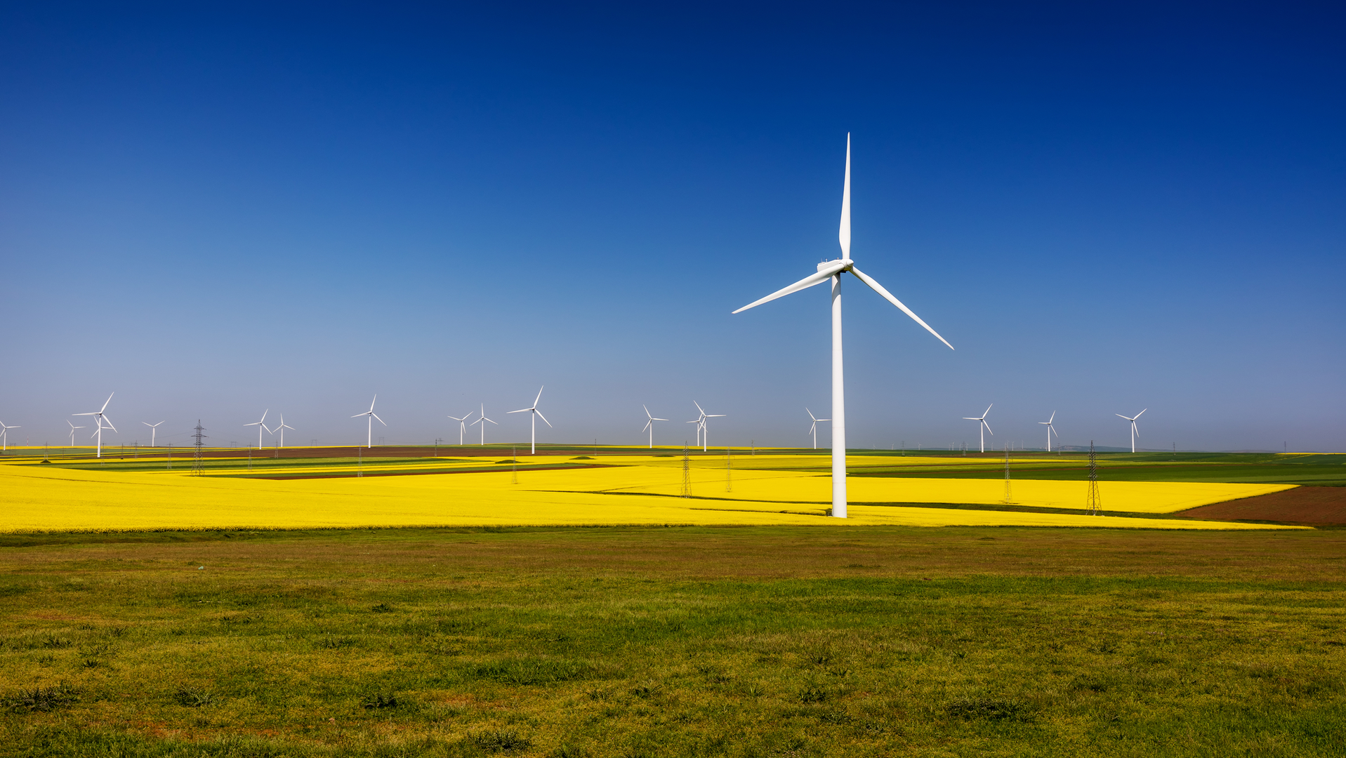 Featured Image 6 5e8d7bc282e6b