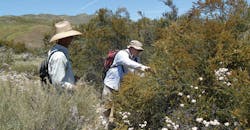 911 33 Dsc01658 911 33 Dsc01658